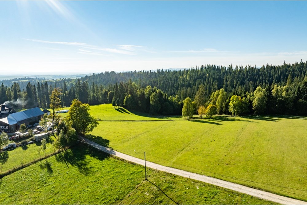 Działka budowlana - Sprzedaż - Nowy Targ, Polska - 20251004-DJI_0148-HDR.jpg - 800091040-99