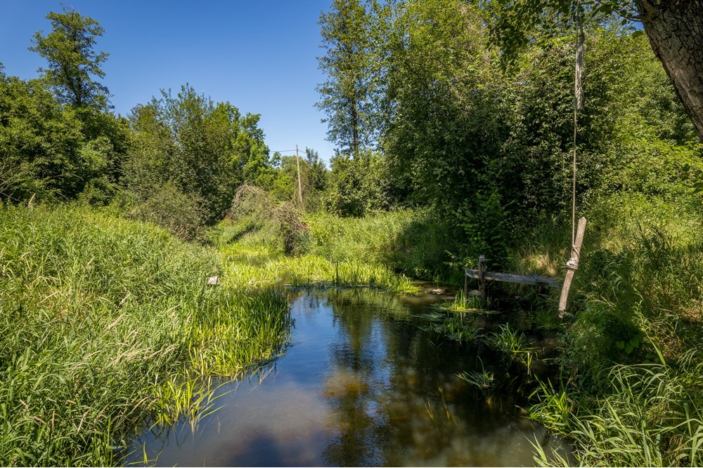 Dom wolnostojący - Sprzedaż - Łoś, Polska - LOS-7.jpg - 810251040-34