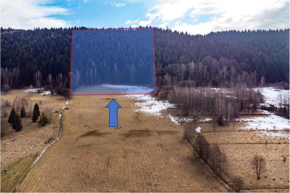 Działka budowlana - Sprzedaż - Las, Polska - nowe 1 las.jpg - 800061103-195