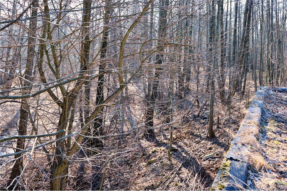 Rezydencja/Willa/Dworek - Sprzedaż - Mysłowice, Polska - 59 - 800061016-1140