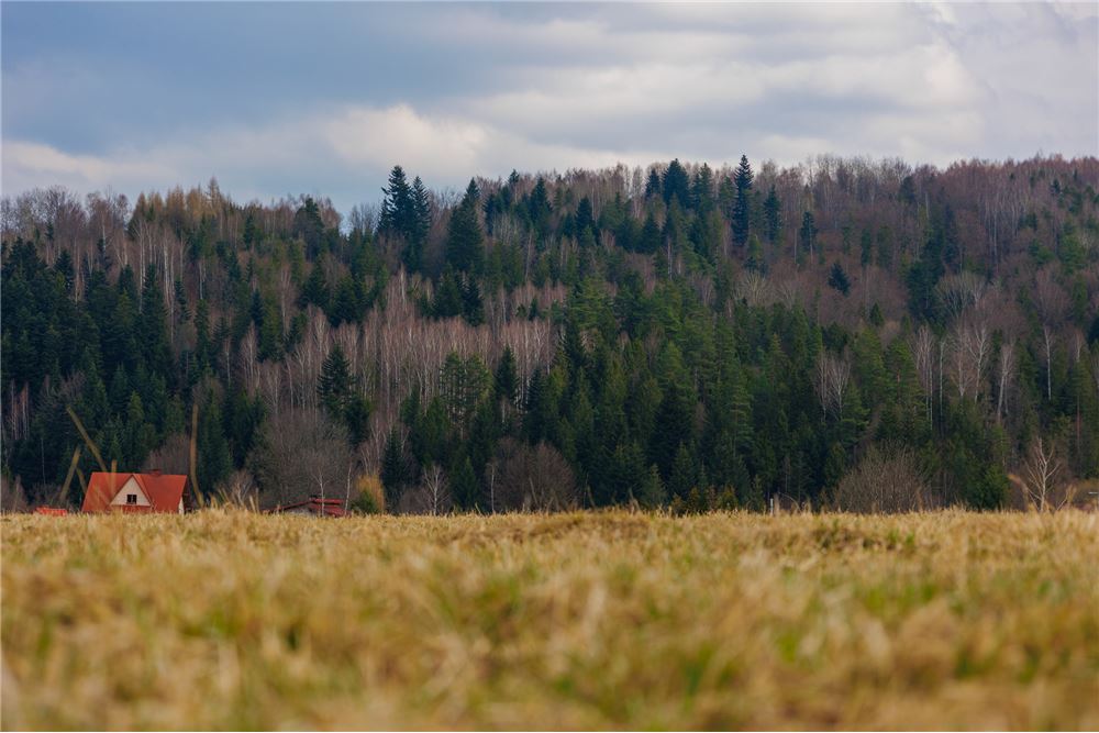 Działka - Sprzedaż - Sopotnia Wielka, Polska - 5 - 800061057-192