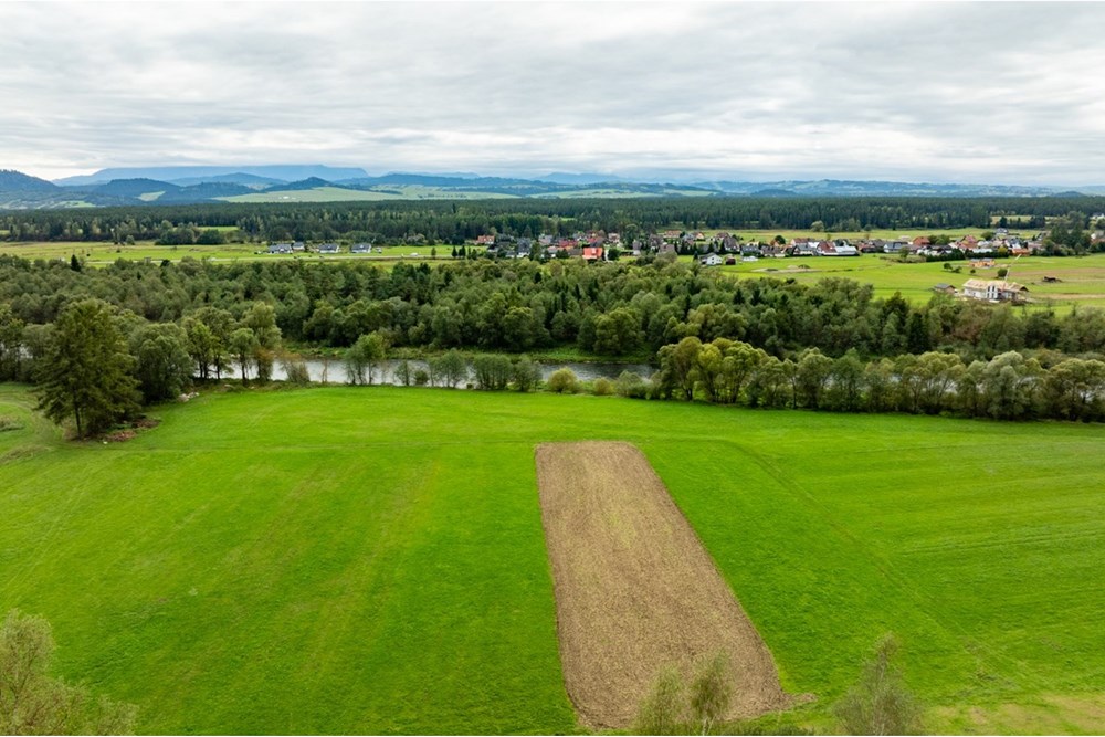 Działka - Sprzedaż - Knurów, Polska - 20250927-DJI_0800-HDR.jpg - 470151024-457