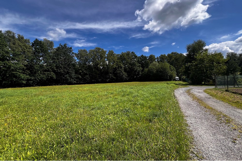 Działka budowlana - Sprzedaż - Jasienica, Polska - IMG_8093.jpeg - 800061117-35