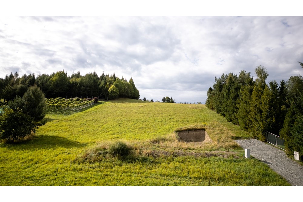 Działka budowlana - Sprzedaż - Sułkowice, Polska - 12.jpg - 470131023-217