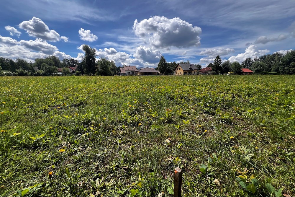 Działka budowlana - Sprzedaż - Jasienica, Polska - IMG_8100.jpeg - 800061117-36