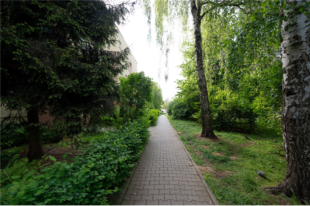 Mieszkanie - Sprzedaż - Kraków, Polska - 17 - 800241031-35