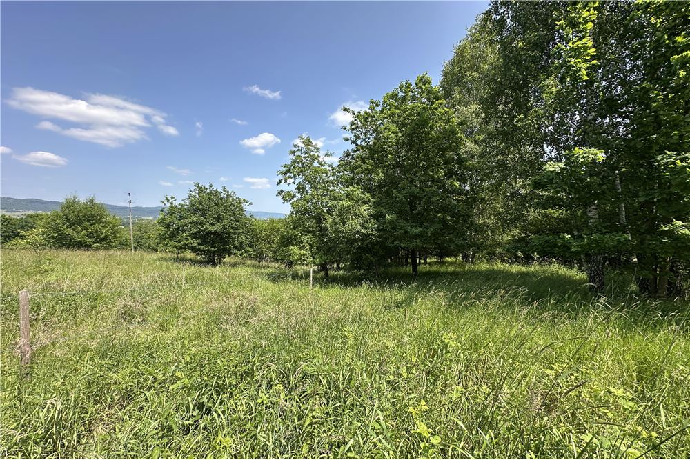 Działka budowlana - Sprzedaż - Rychwałd, Polska - 86 - 800061103-169