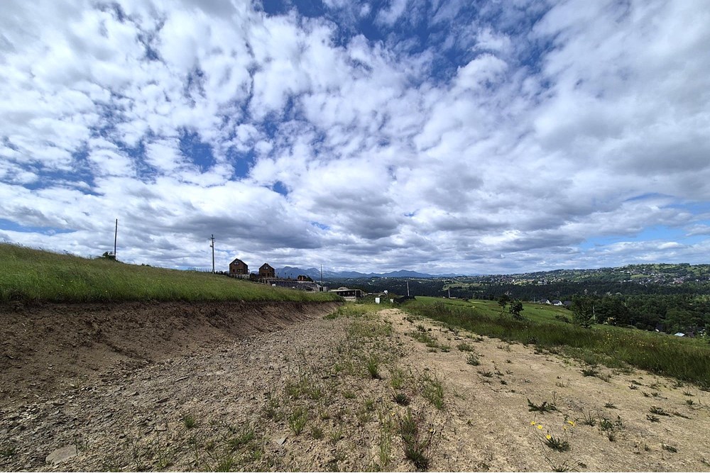 Działka - Sprzedaż - Rzepiska, Polska - Artur Zajac (8).jpg - 800091026-78