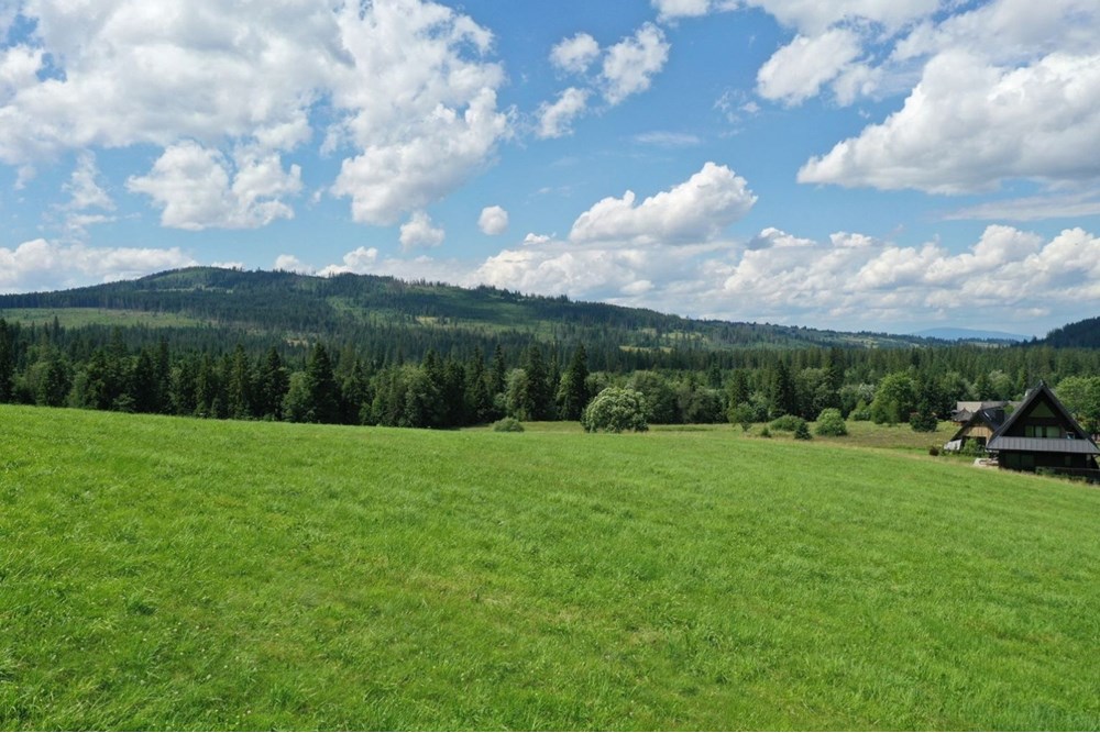 Działka budowlana - Sprzedaż - Witów, Polska - 20.jpg - 470151015-493