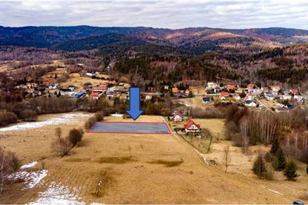 Działka budowlana - Sprzedaż - Las, Polska - Zrzut ekranu 2025-10-28 061914.jpg - 800061103-197