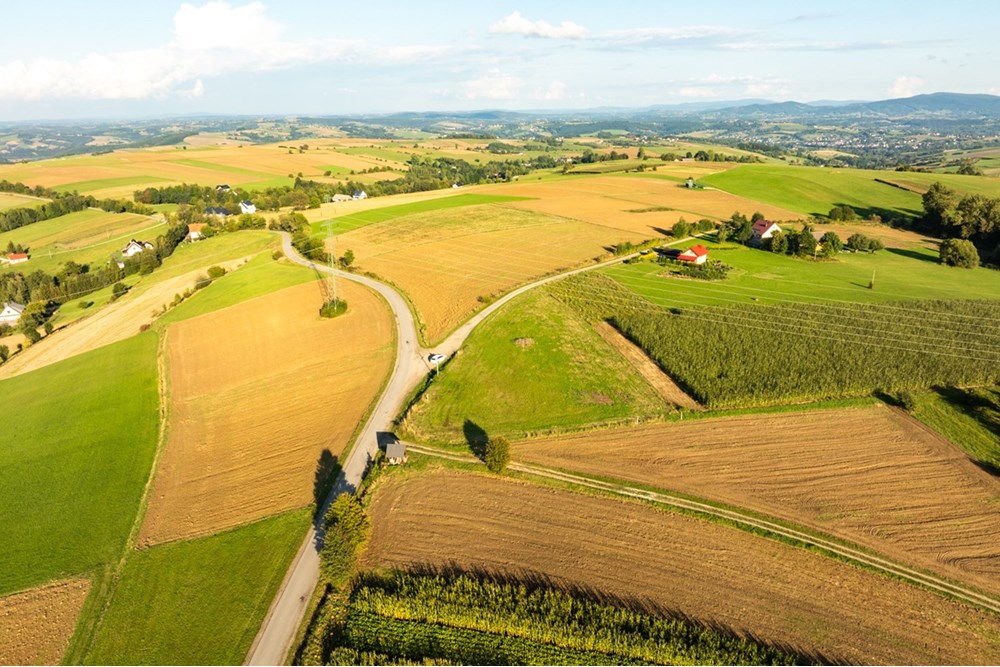 Działka budowlana - Sprzedaż - Ciężkowice, Polska - 20250909-DJI_0294-HDR.jpg - 800241031-43
