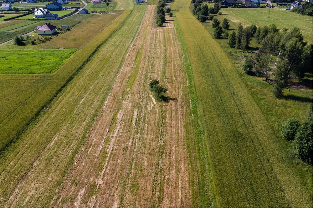 Działka budowlana - Sprzedaż - Lipowa, Polska - Działka_lipowa-8.jpg - 800061116-16