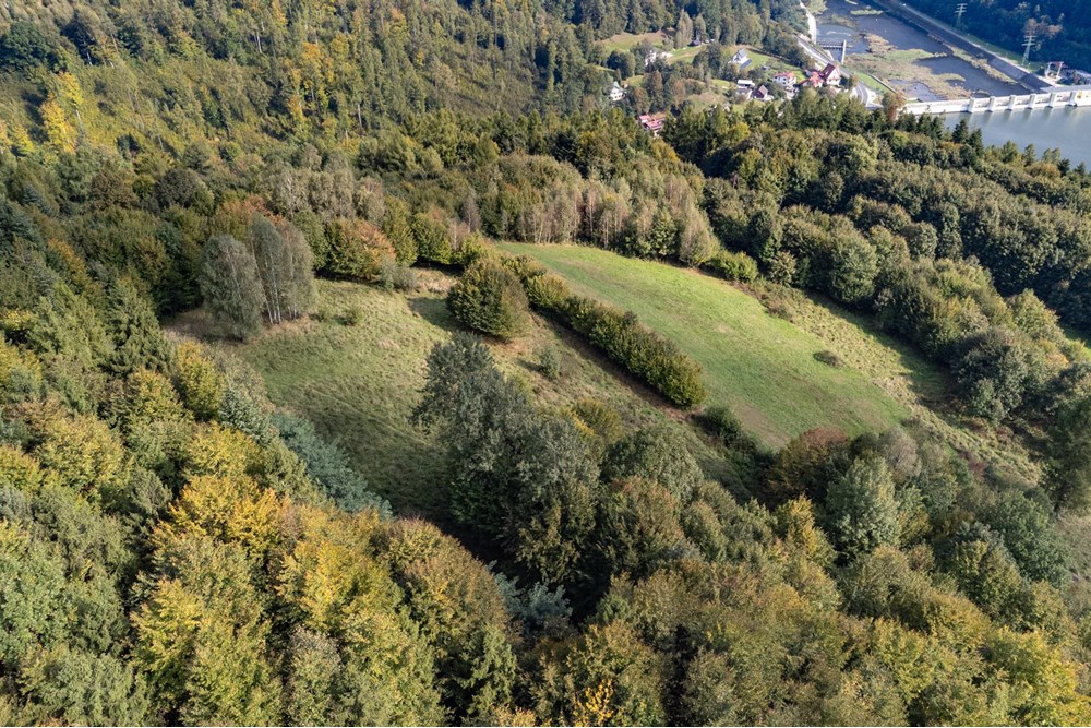 Działka budowlana - Sprzedaż - Międzybrodzie Bialskie, Polska - DJI_0540.jpg - 800061103-193