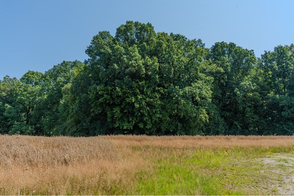Działka budowlana - Sprzedaż - Bielsko-Biała, Polska - 11...JPG - 470131102-37