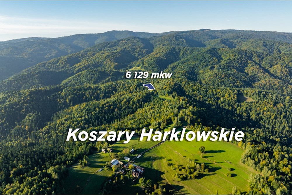 Działka - Sprzedaż - Harklowa, Polska - 20251004-DJI_0219-HDR.jpg - 470151024-458