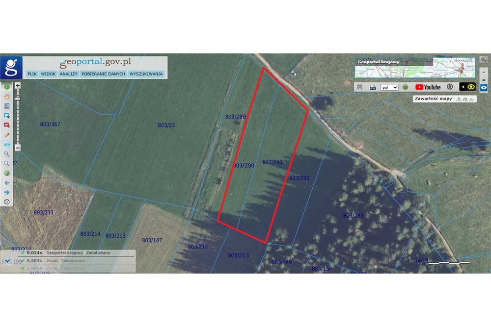 Nieruchomość gruntowa - Sprzedaż - Dzianisz, Polska - 28 - 800061116-24