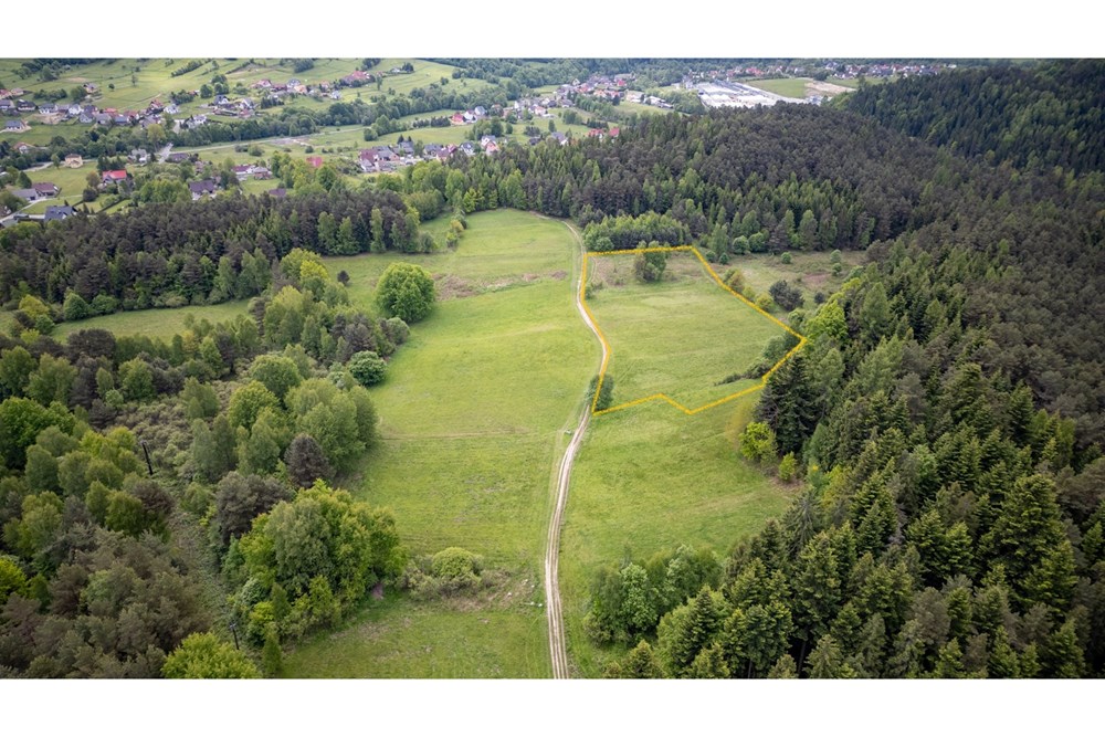 Działka - Sprzedaż - Krzeszów, Polska - Działka 295.000 3.jpg - 470131112-5