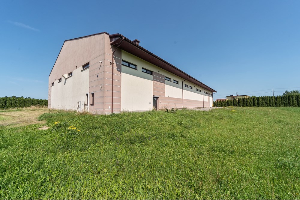 Hala - Sprzedaż - Czaniec, Polska - CG15_041D.jpg - 800061100-89