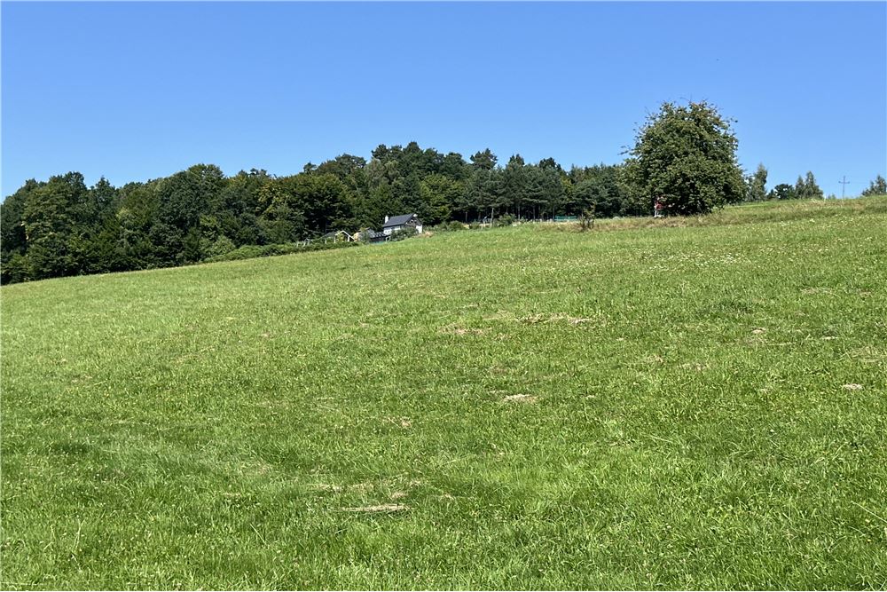 Działka - Sprzedaż - Młynne, Polska - 6 - 800061103-179