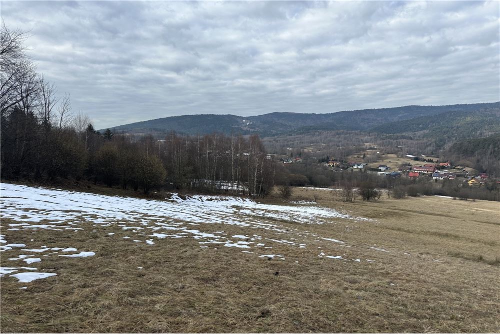 Działka budowlana - Sprzedaż - Las, Polska - 38 - 800061103-198