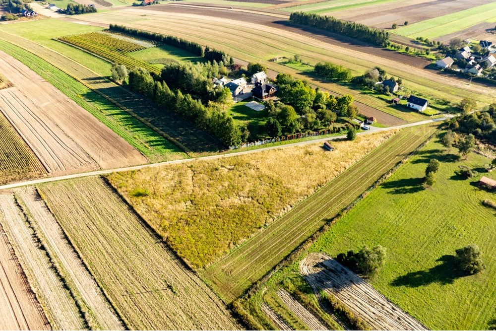 Działka budowlana - Sprzedaż - Skała, Polska - 20250927-DJI_0479-HDR.jpg - 800241031-45