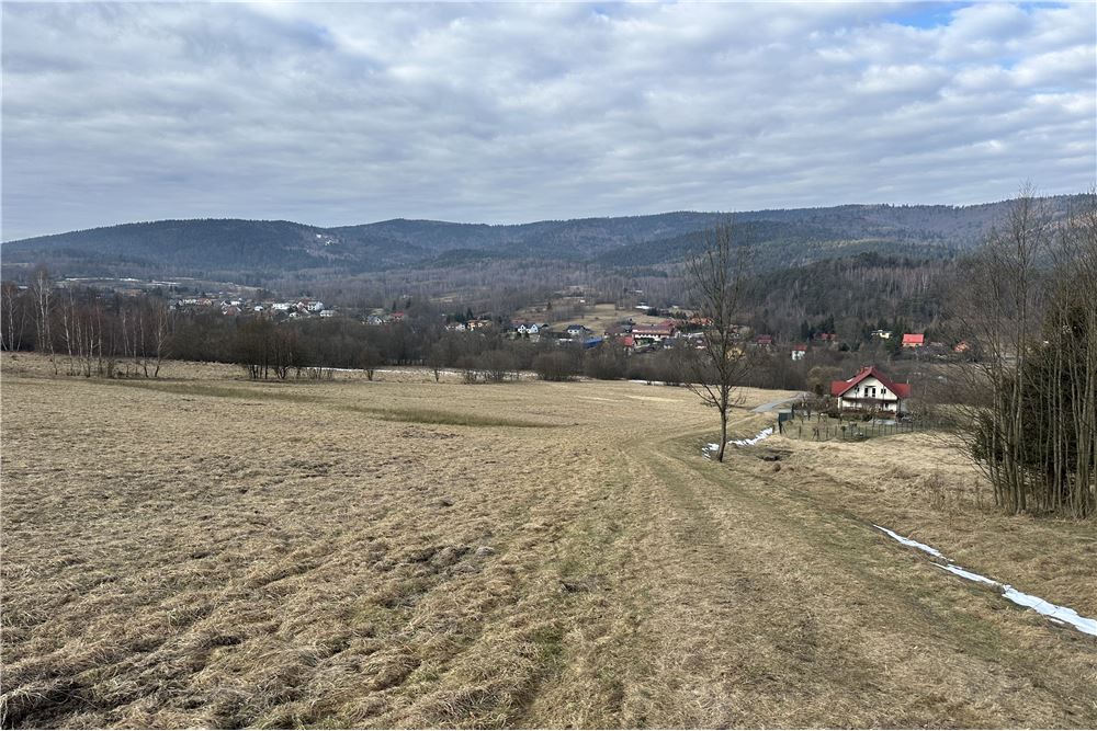 Działka budowlana - Sprzedaż - Las, Polska - 45 - 800061103-198