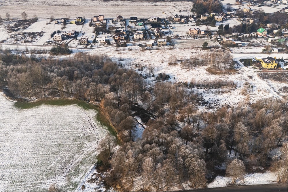 Działka - Sprzedaż - Czerwionka-Leszczyny, Polska - DJI_20251129113843_0728_D (1).jpg - 800061076-455