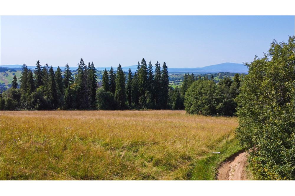 Nieruchomość gruntowa - Sprzedaż - Dzianisz, Polska - 60 - 800061116-23