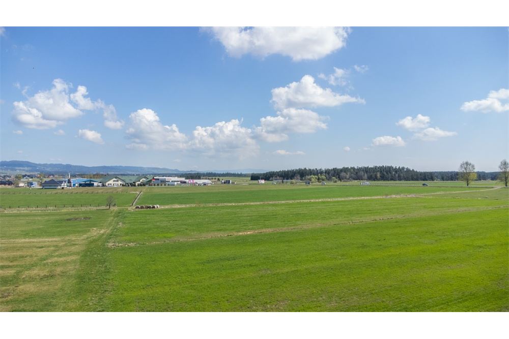 Nieruchomość gruntowa - Sprzedaż - Jabłonka, Polska - 12 - 470131089-56