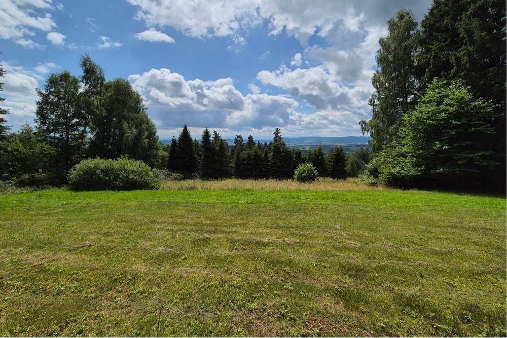 Działka budowlana - Sprzedaż - Naprawa, Polska - Artur Zajac Naprawa.jpg - 800091026-80