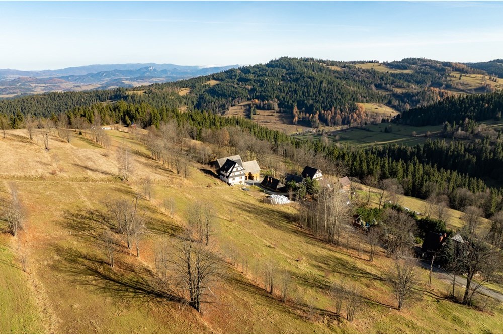 Działka - Sprzedaż - Rzepiska, Polska - 20251114-DJI_0893-HDR.jpg - 800091045-42
