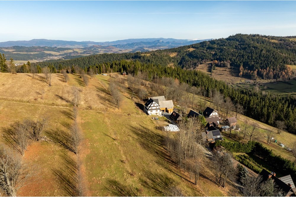 Działka - Sprzedaż - Rzepiska, Polska - 20251114-DJI_0896-HDR.jpg - 800091045-42