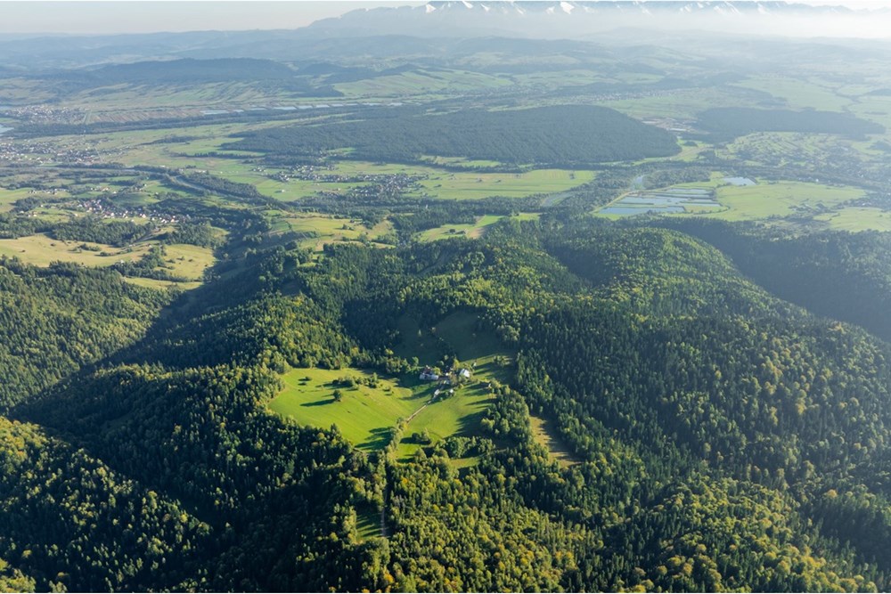 Działka - Sprzedaż - Harklowa, Polska - 20251004-DJI_0207-HDR.jpg - 470151024-458