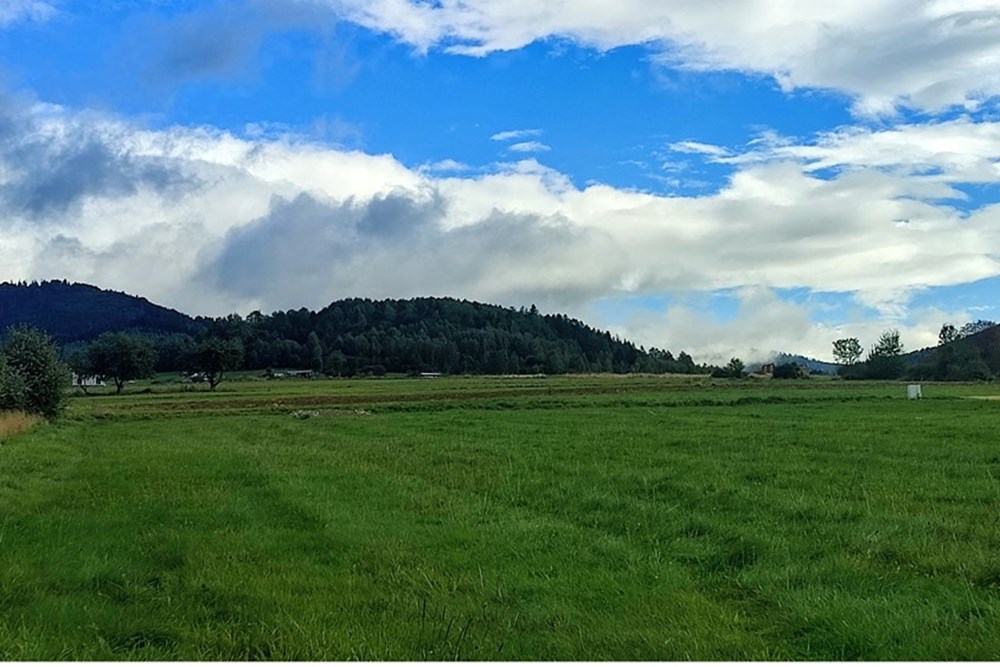 Działka budowlana - Sprzedaż - Milówka, Polska - IMG_20250929_125523.jpg - 800061133-15