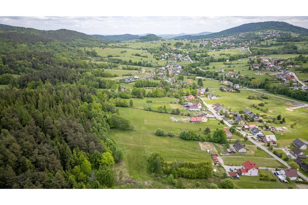 Działka - Sprzedaż - Krzeszów, Polska - DJI_0385.jpg - 470131112-6