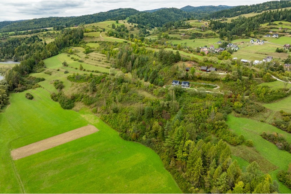 Działka - Sprzedaż - Knurów, Polska - 20250927-DJI_0776-HDR.jpg - 470151024-457