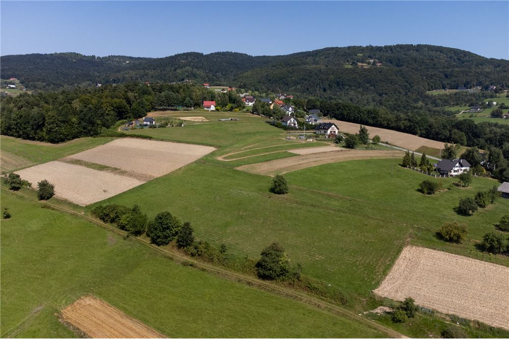 Działka - Sprzedaż - Młynne, Polska - 17 - 800061103-179