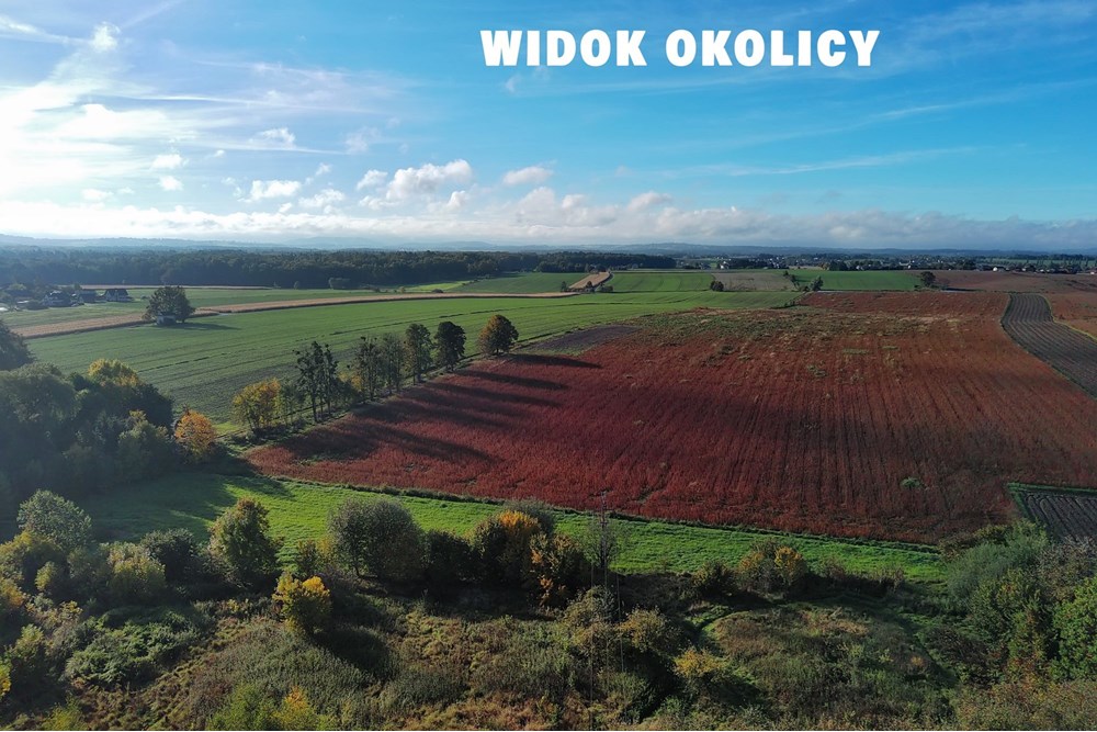 Nieruchomość inwestycyjna - Sprzedaż - Pruchna, Polska - PRU_031M.JPG - 800061076-438