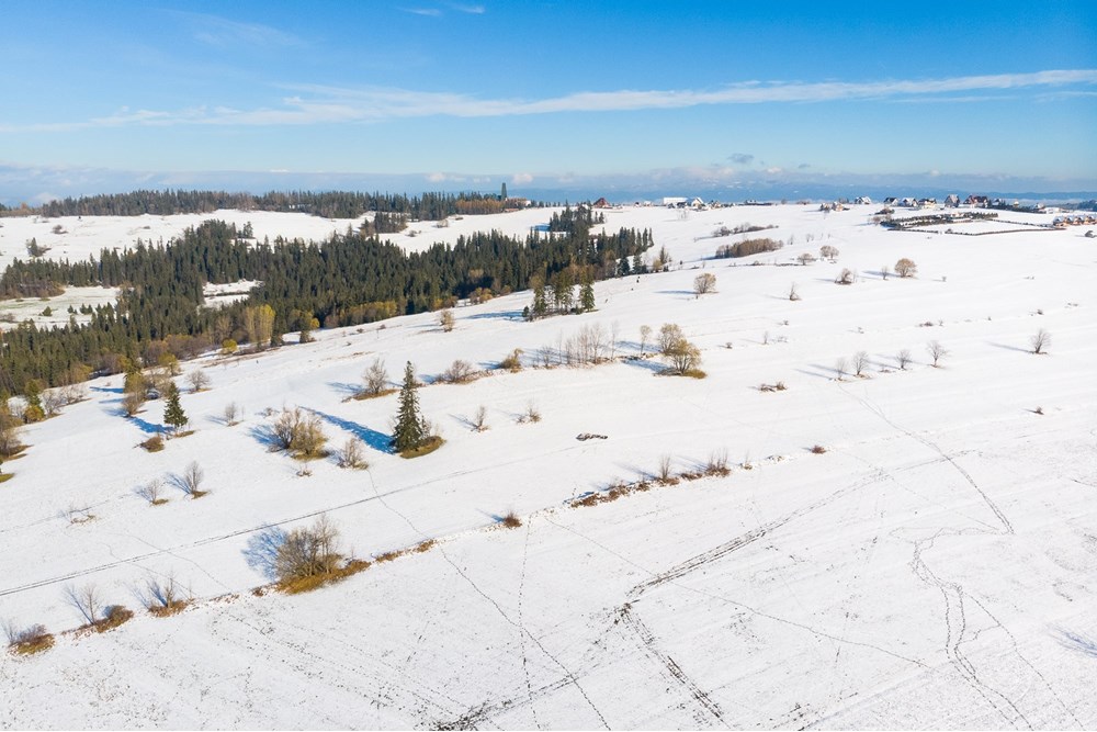 Działka - Sprzedaż - Ratułów, Polska - DJI_0426.jpg - 470151035-149