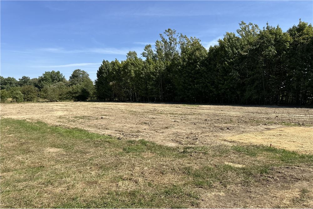 Działka - Sprzedaż - Jankowice, Polska - 3 - 800061103-174