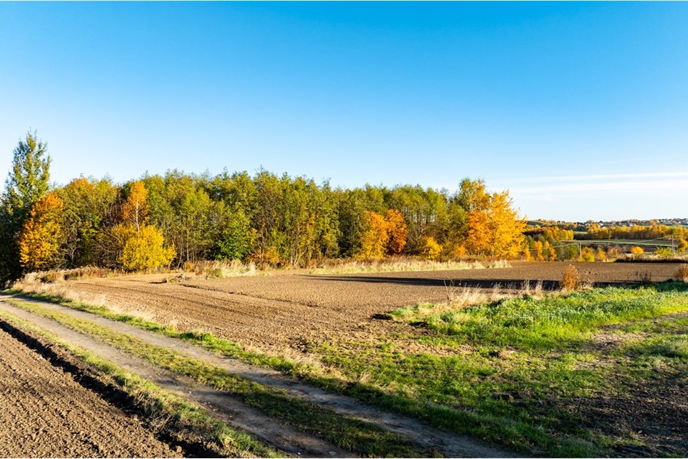Działka budowlana - Sprzedaż - Trąbki, Polska - 20251031-DJI_0983-HDR.jpg - 800241005-219