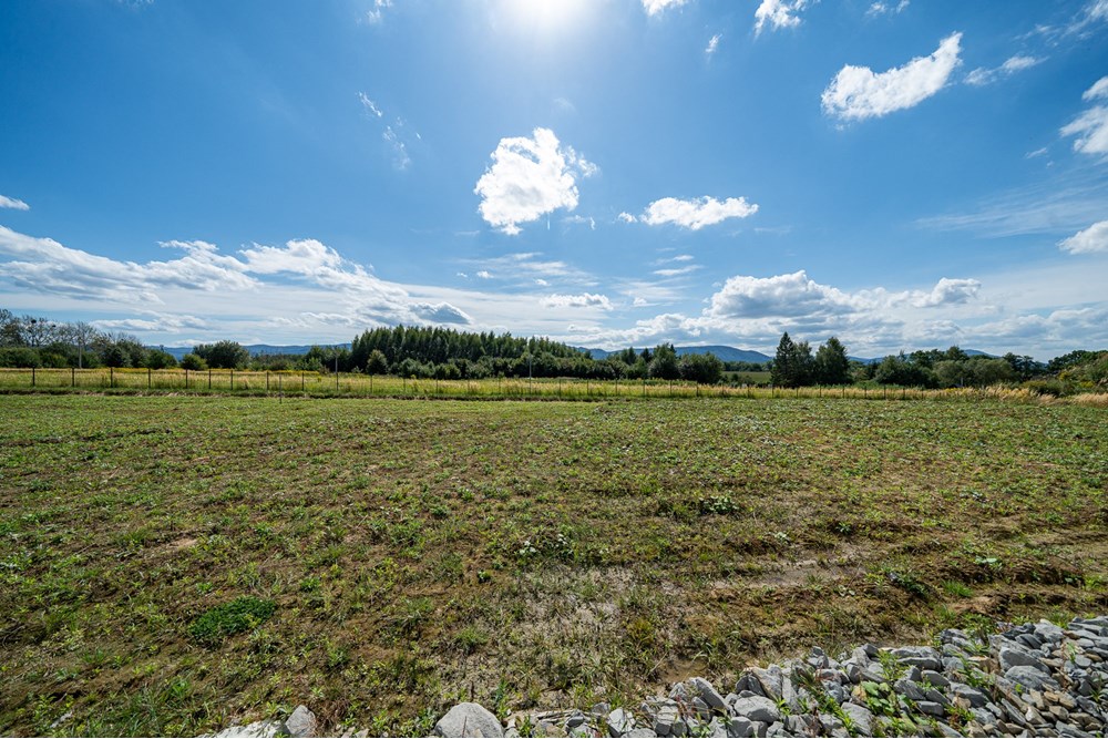 Nieruchomość gruntowa - Sprzedaż - Wieprz, Polska - Foto_006.jpg - 800271009-79