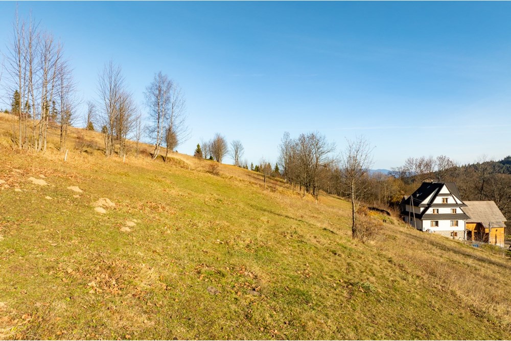 Działka - Sprzedaż - Rzepiska, Polska - 20251114-DJI_0875-HDR.jpg - 800091045-42