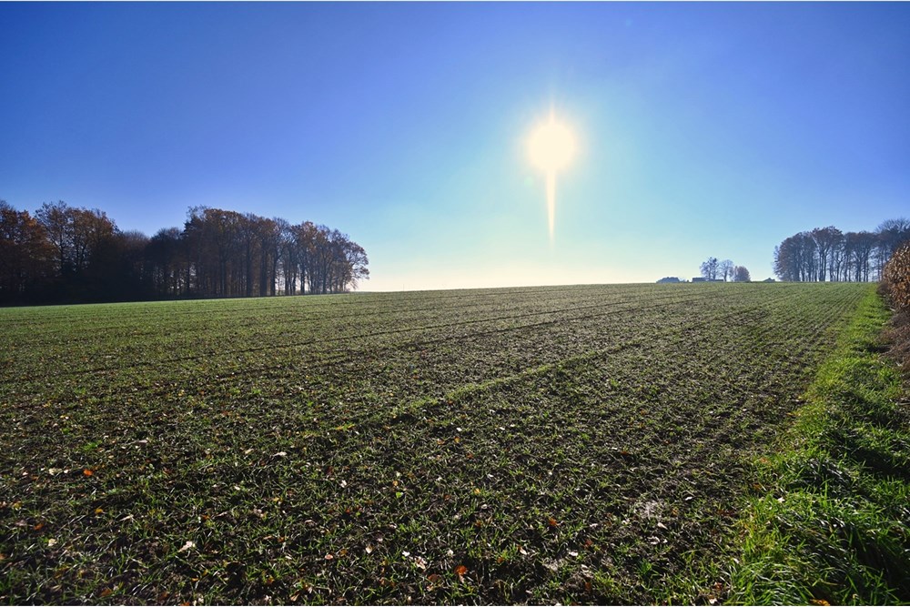 Działka - Sprzedaż - Witkowice, Polska - 34.JPG - 470131110-4