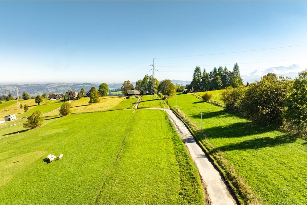 Działka budowlana - Sprzedaż - Ząb, Polska - 20251004-DJI_0851-HDR.jpg - 470151035-148