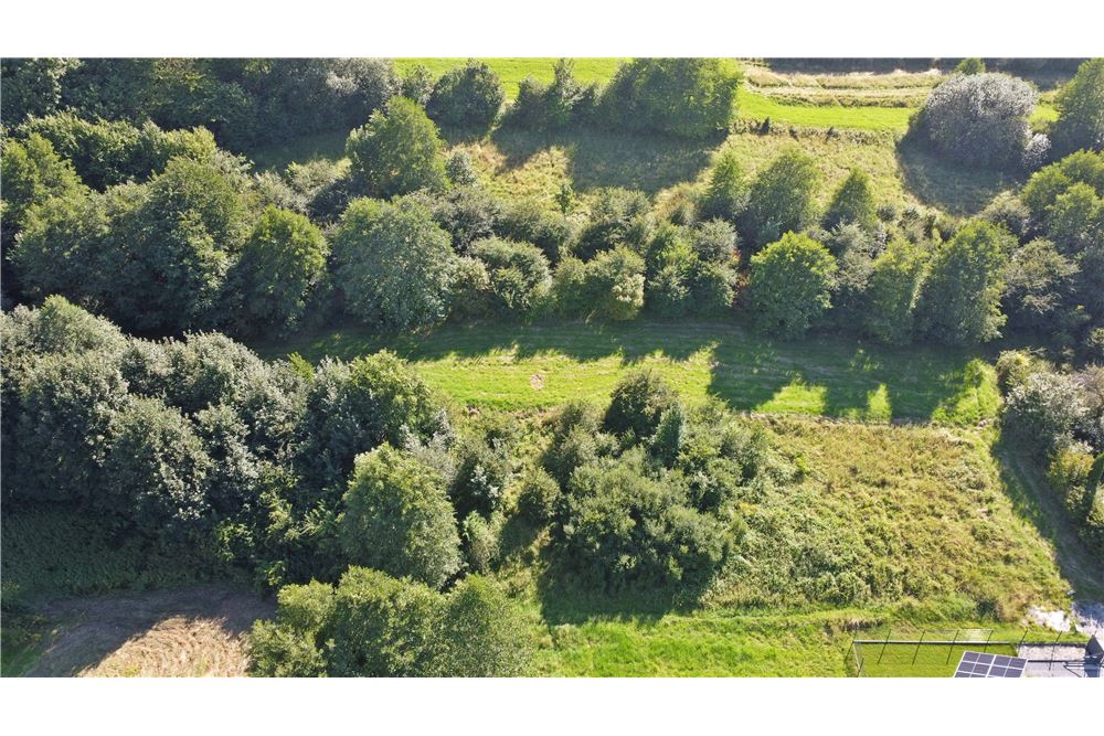 Działka - Sprzedaż - Radziechowy, Polska - 5 - 800061039-516