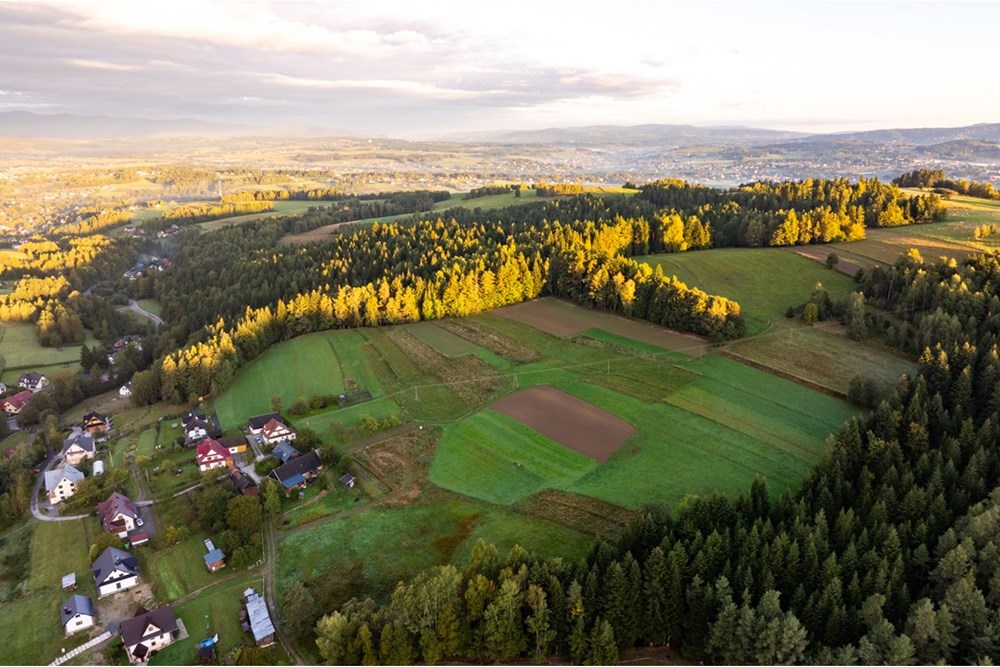 Działka budowlana - Sprzedaż - Rokiciny Podhalańskie, Polska - 20250927-DJI_0344-HDR.jpg - 800091055-13