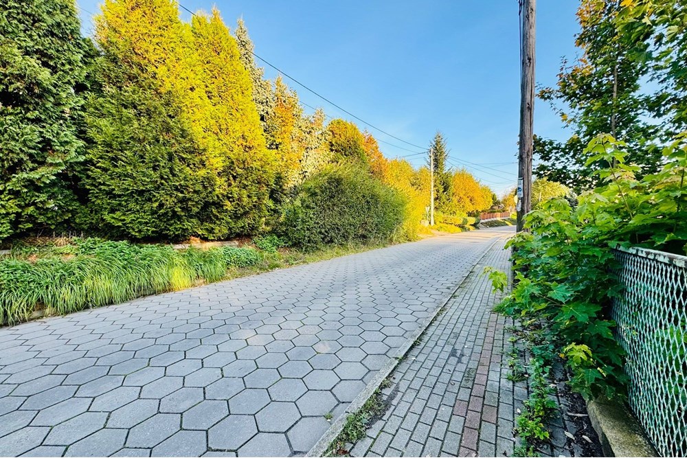 Działka budowlana - Sprzedaż - Rybnik, Polska - zagłoby 18.jpg - 470311001-56