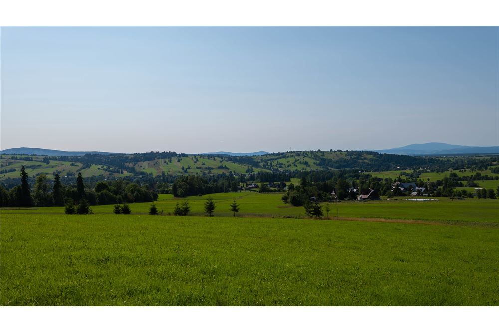 Nieruchomość gruntowa - Sprzedaż - Dzianisz, Polska - 16 - 800061116-24