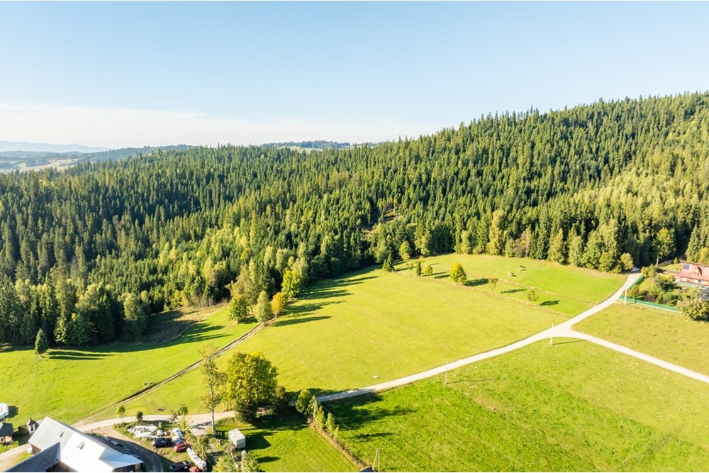 Działka budowlana - Sprzedaż - Nowy Targ, Polska - 20251004-DJI_0151-HDR.jpg - 800091040-99